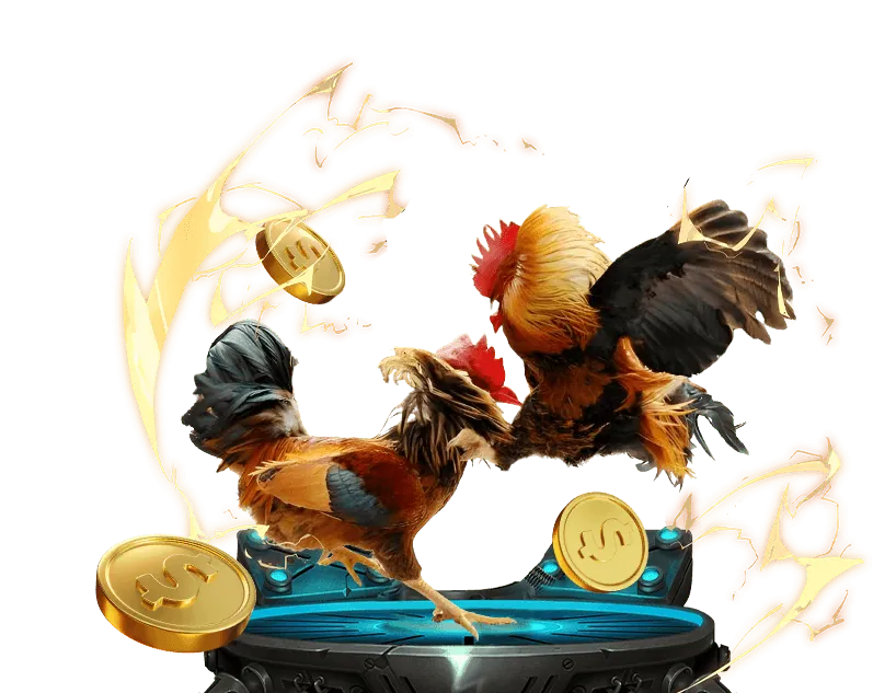 Hình ảnh quan sát và học hỏi kinh nghiệm bắn cá